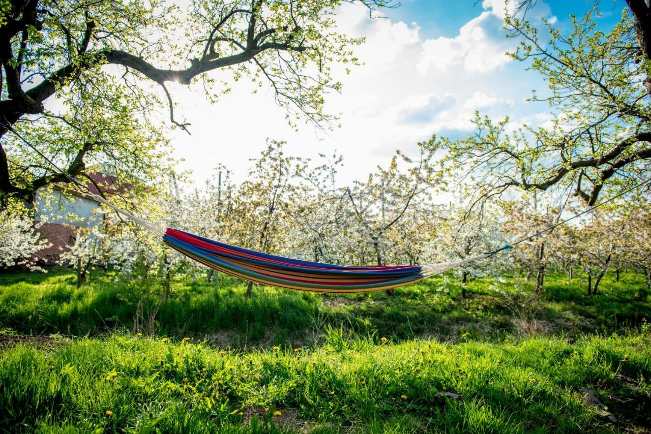 Deichkroenchen Ferienwohnung Altes Land Hamburg Jork Exterior foto